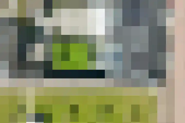 Stelling 2 Blauwestad thumbnail 64