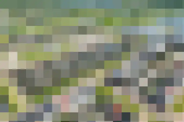 Stelling 2 Blauwestad thumbnail 65