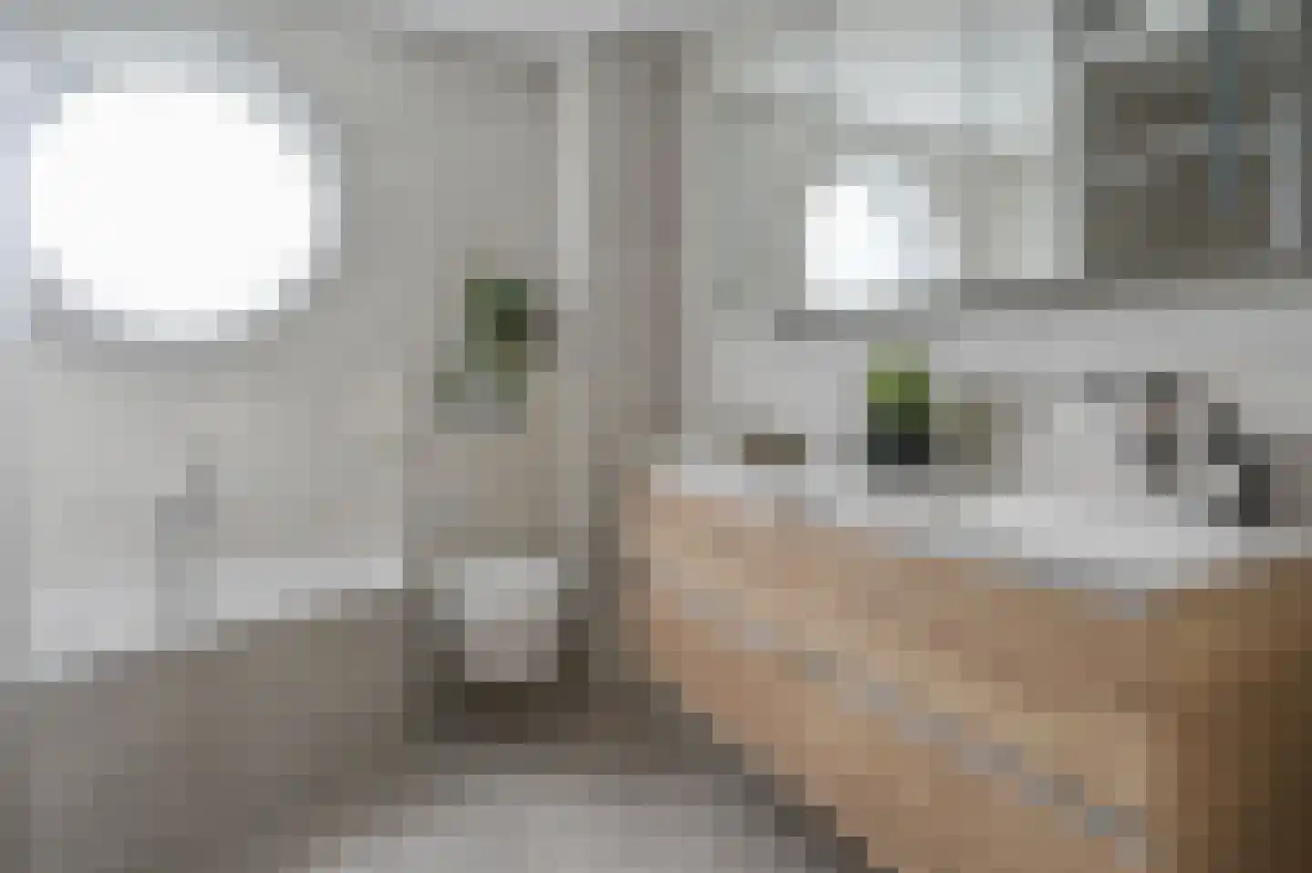 Stelling 24 De Kwakel thumbnail 19