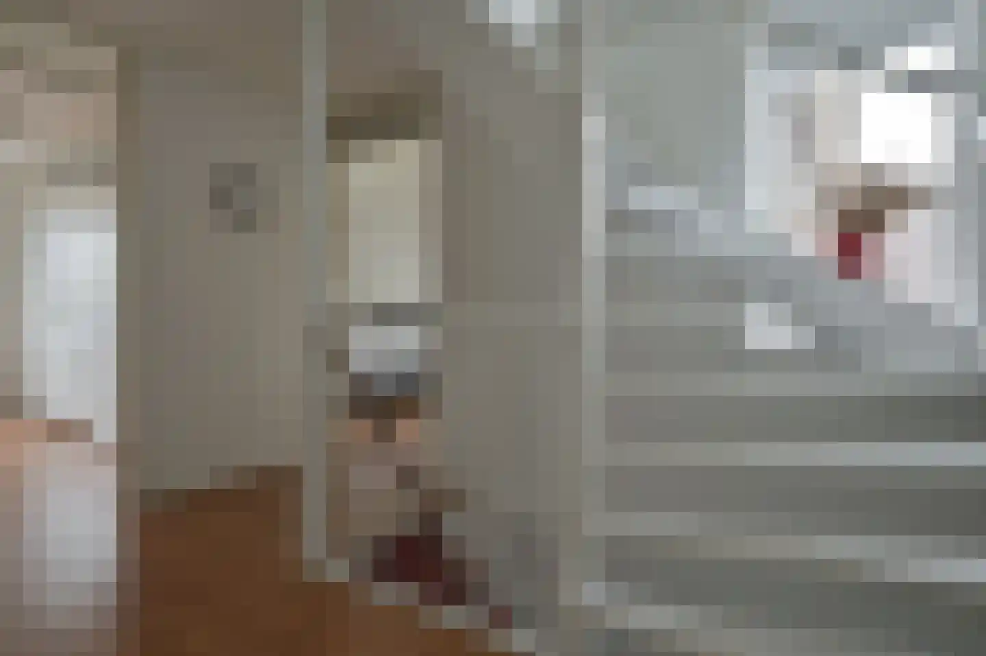 Stelling 24 De Kwakel thumbnail 22