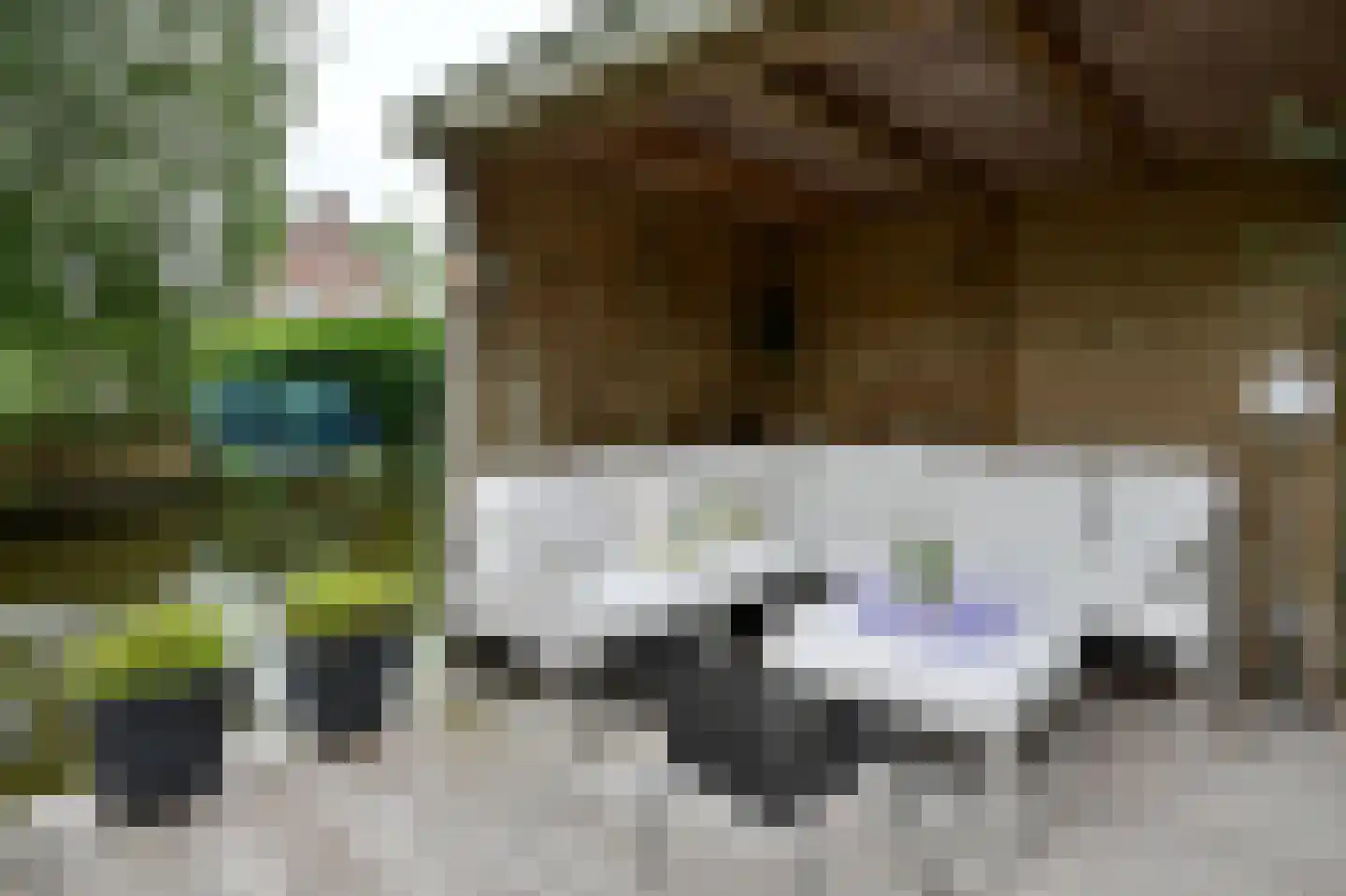 Stelling 24 De Kwakel thumbnail 29