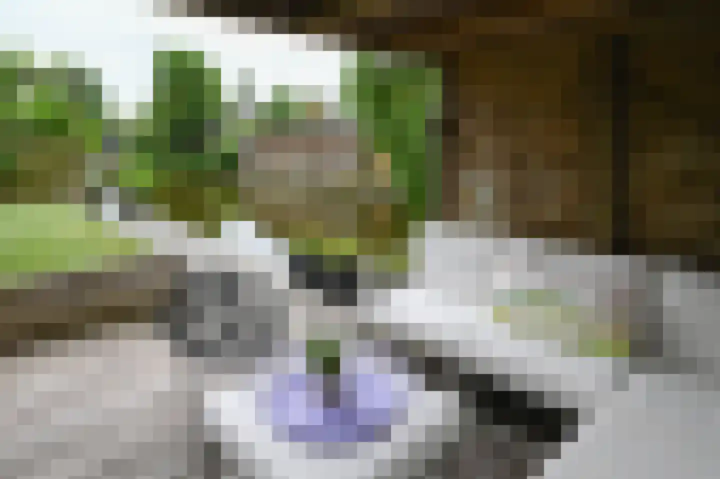Stelling 24 De Kwakel thumbnail 32