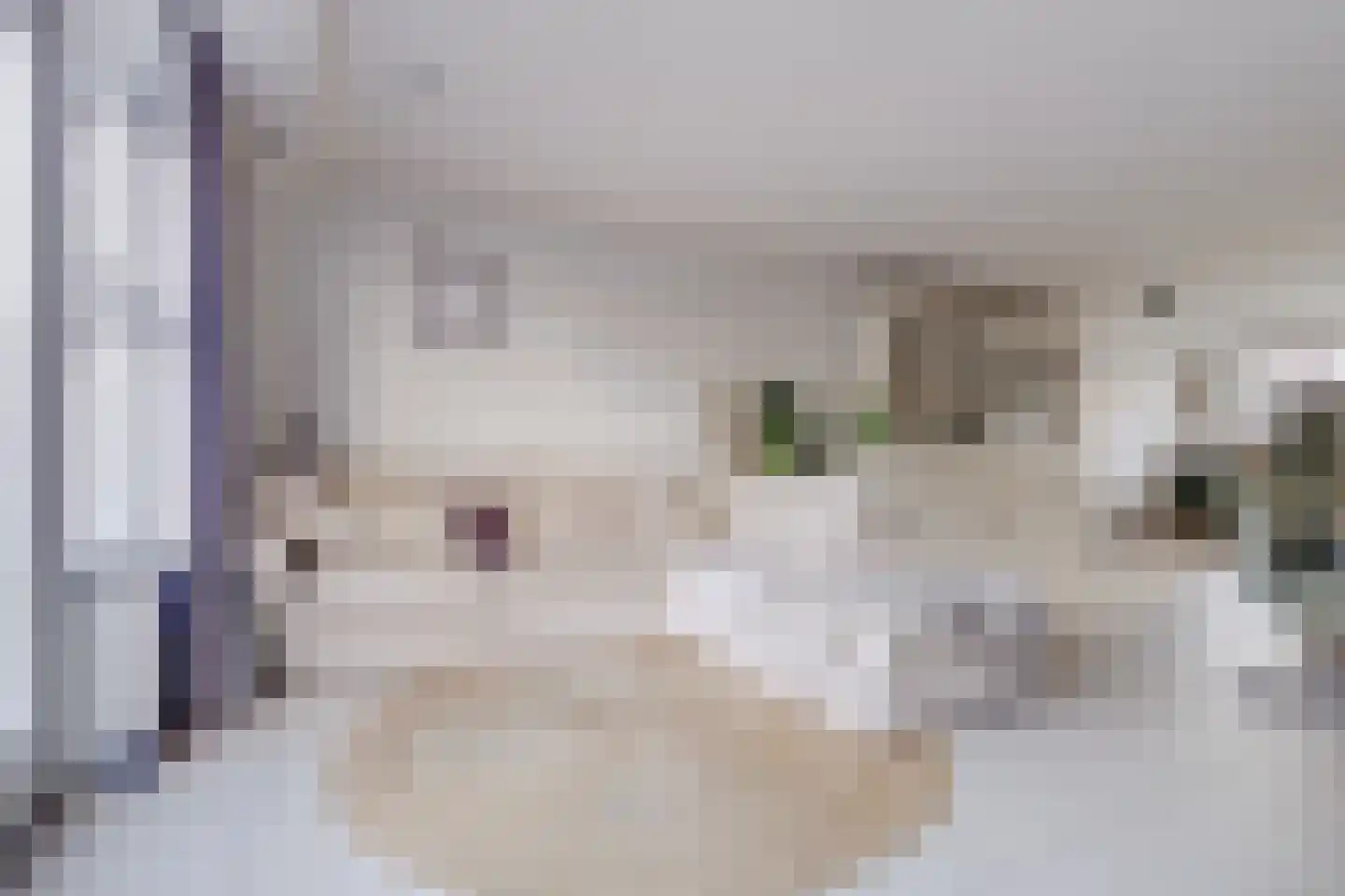 Stelling 31 De Kwakel thumbnail 4