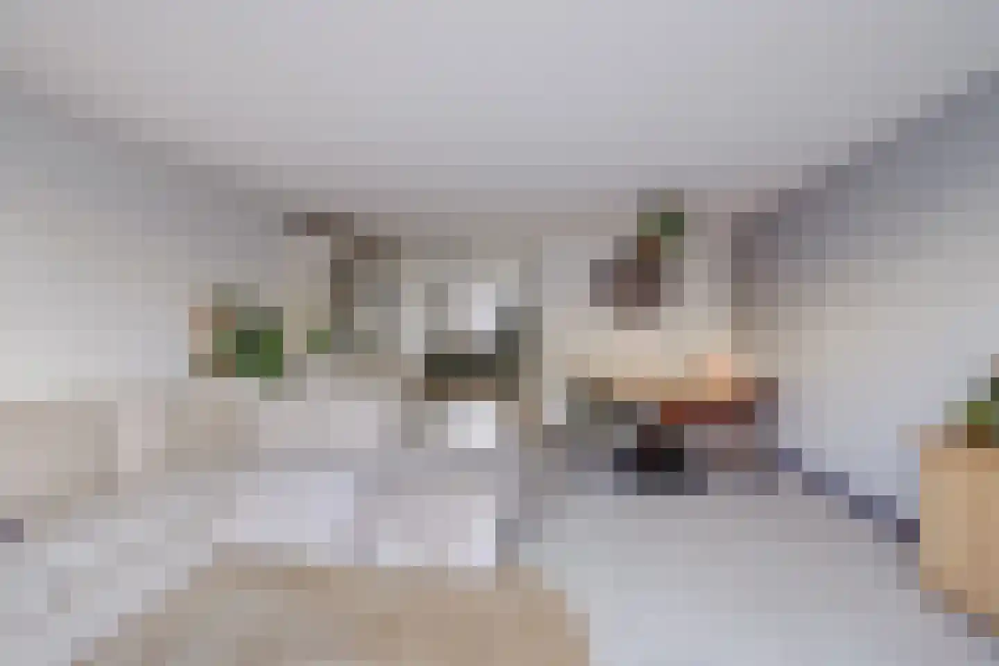 Stelling 31 De Kwakel thumbnail 5