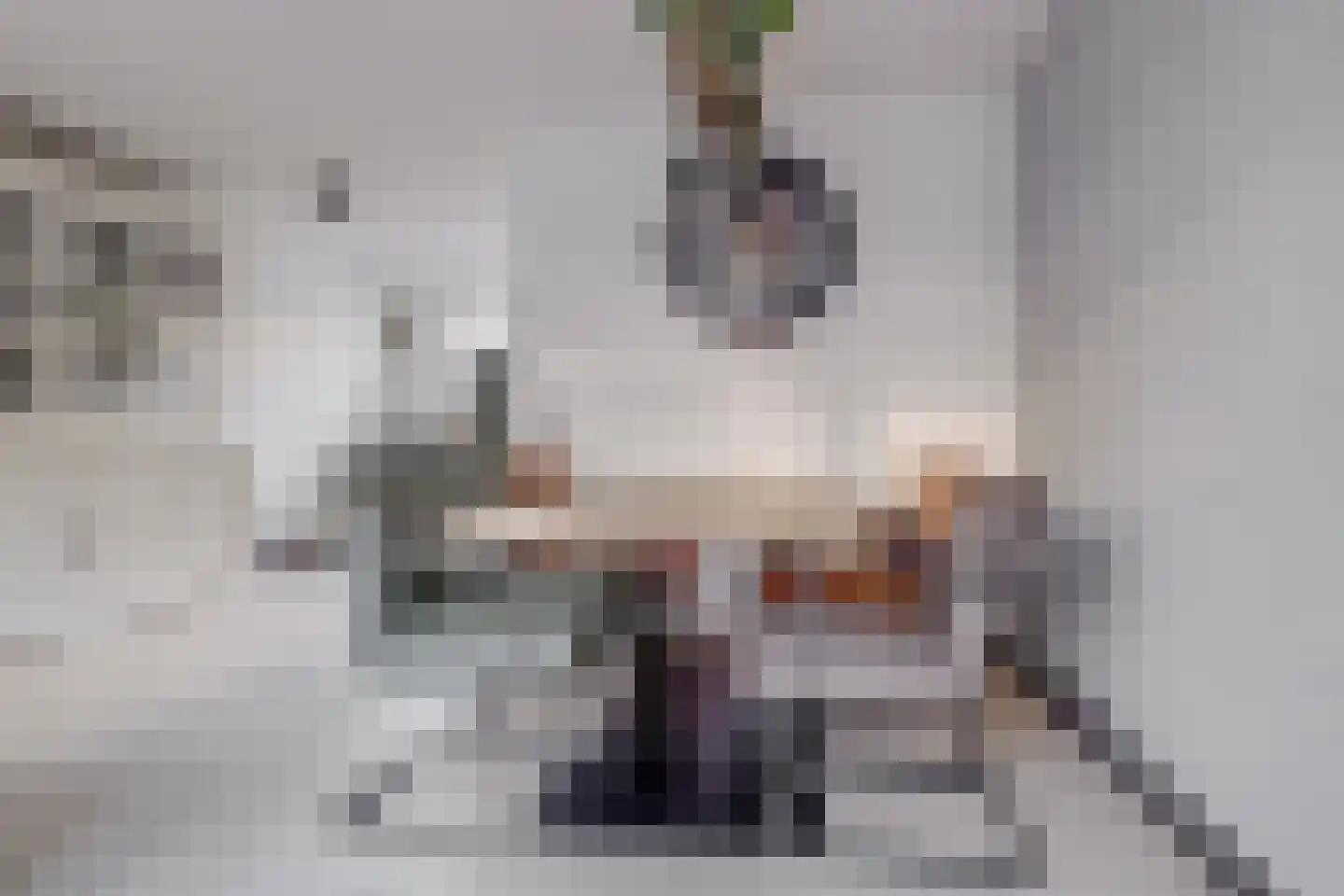 Stelling 31 De Kwakel thumbnail 9
