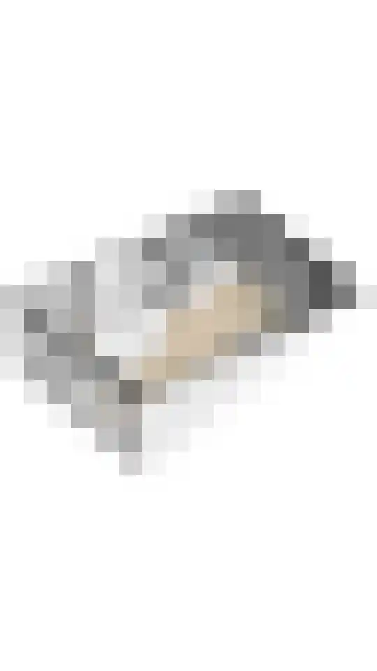 Stelling 33 De Kwakel thumbnail 34