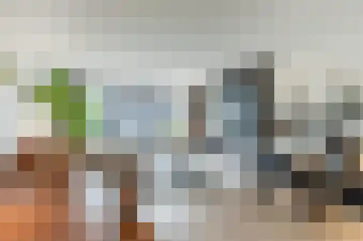 Stelling van Amsterdam 18 Middenbeemster thumbnail 11