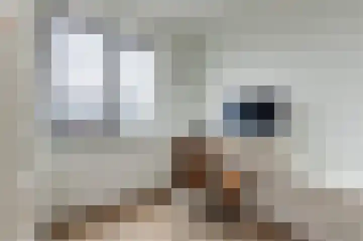 Stelling van Amsterdam 18 Middenbeemster thumbnail 27