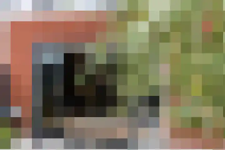 Stelling van Amsterdam 18 Middenbeemster thumbnail 46