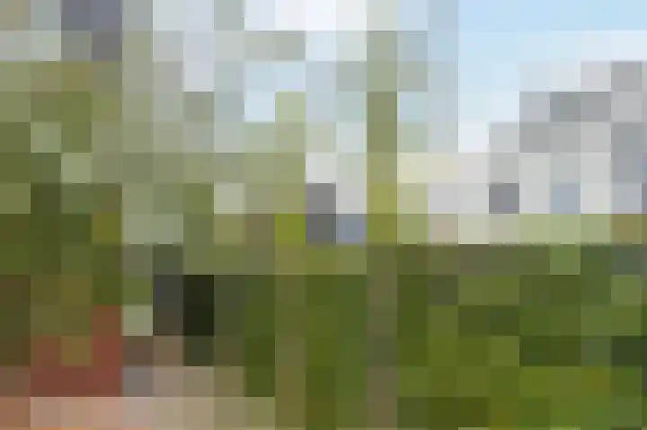 Stelling van Amsterdam 18 Middenbeemster thumbnail 47