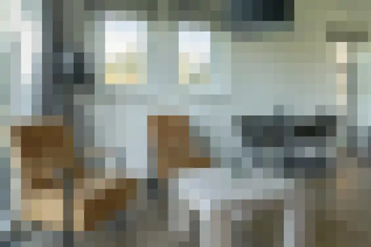 Stellingenweg 23 Oldeberkoop thumbnail 4