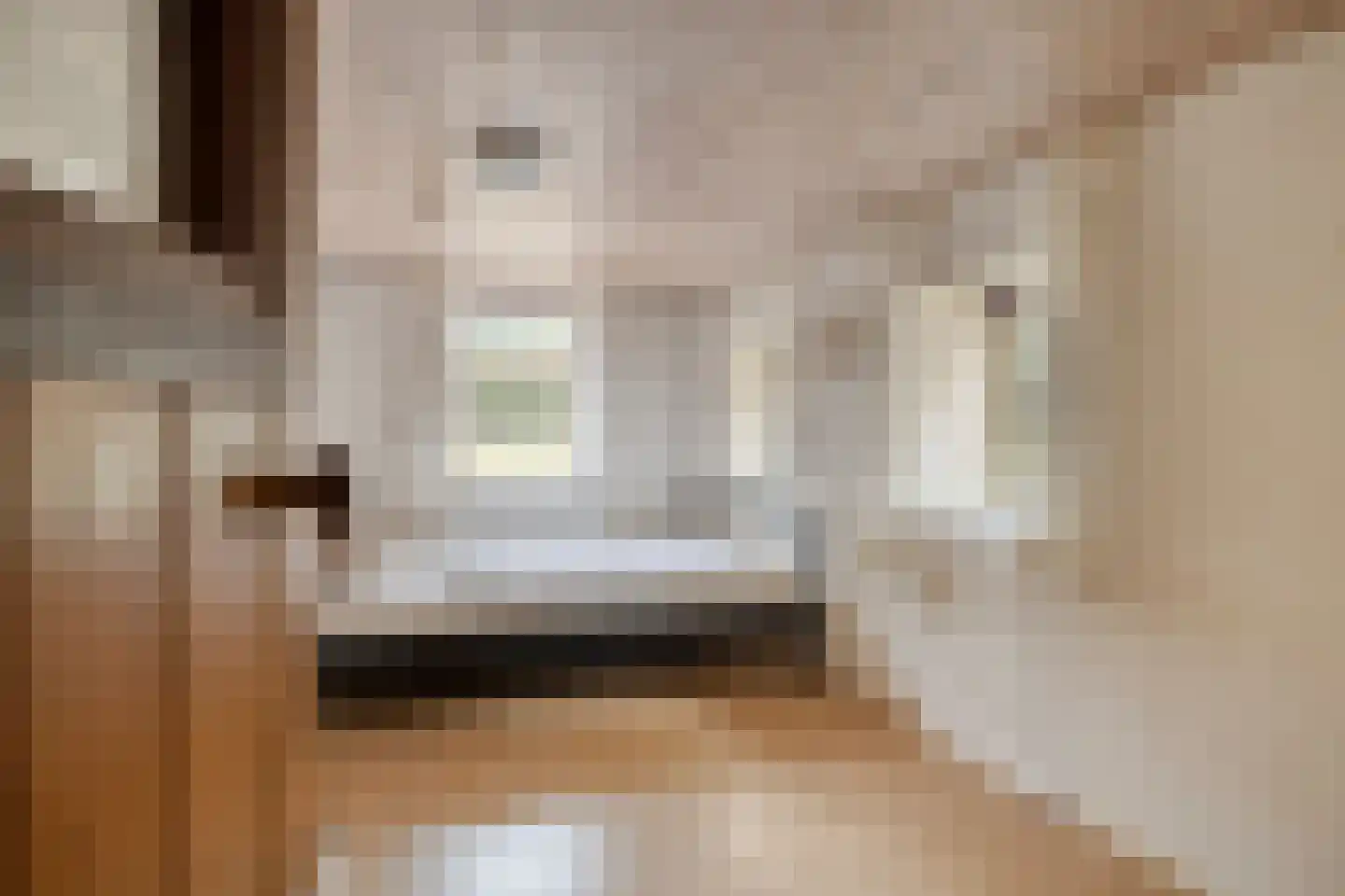 Stellingenweg 4 Oldeberkoop thumbnail 12
