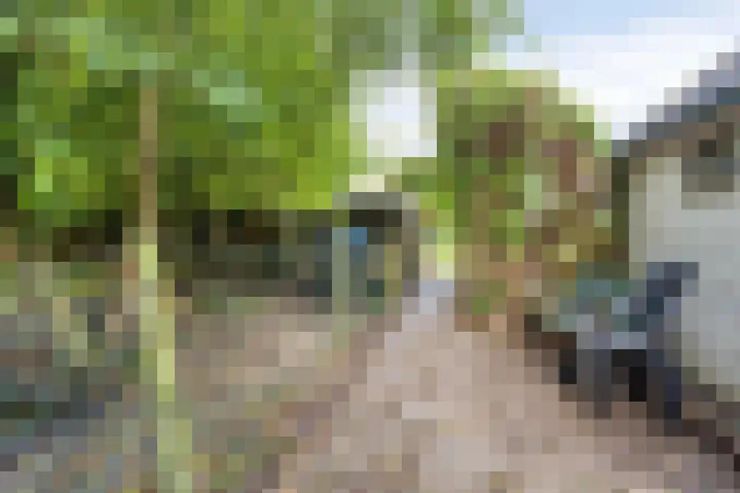 Stellingenweg 4 Oldeberkoop thumbnail 18