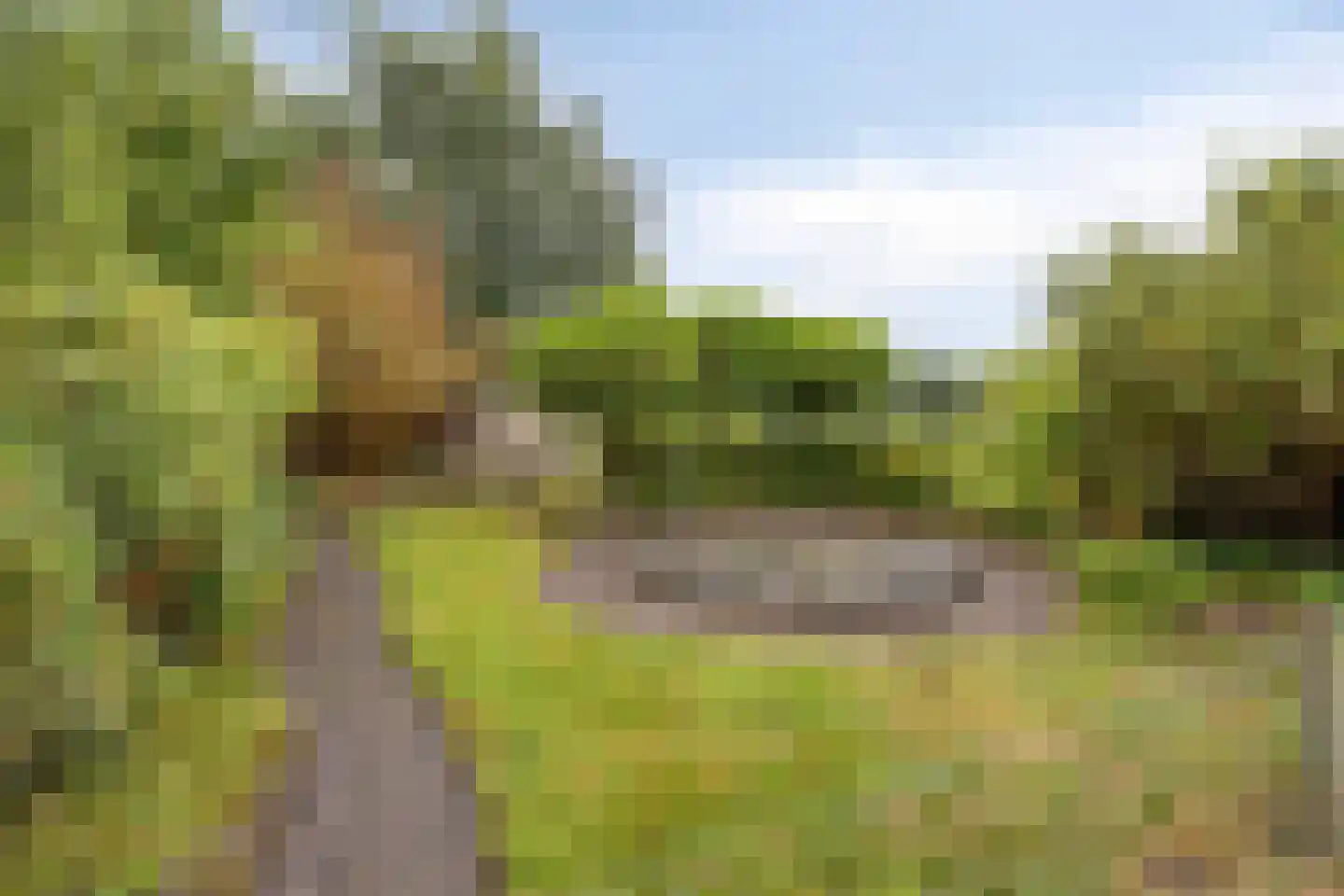 Stellingenweg 4 Oldeberkoop thumbnail 22