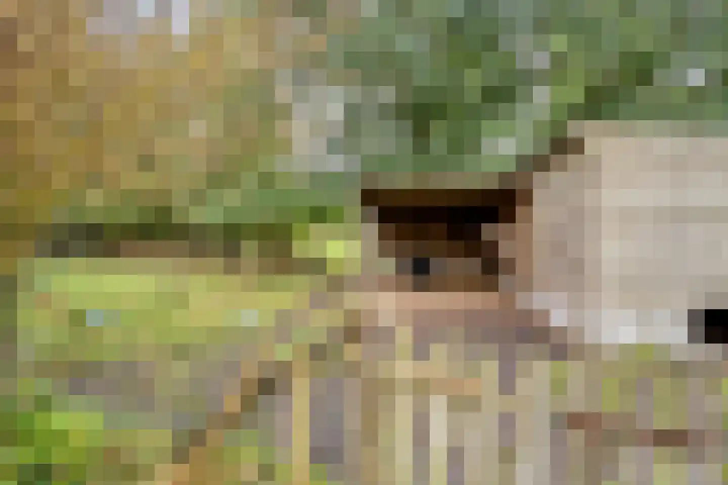 Stellingenweg 4 Oldeberkoop thumbnail 23