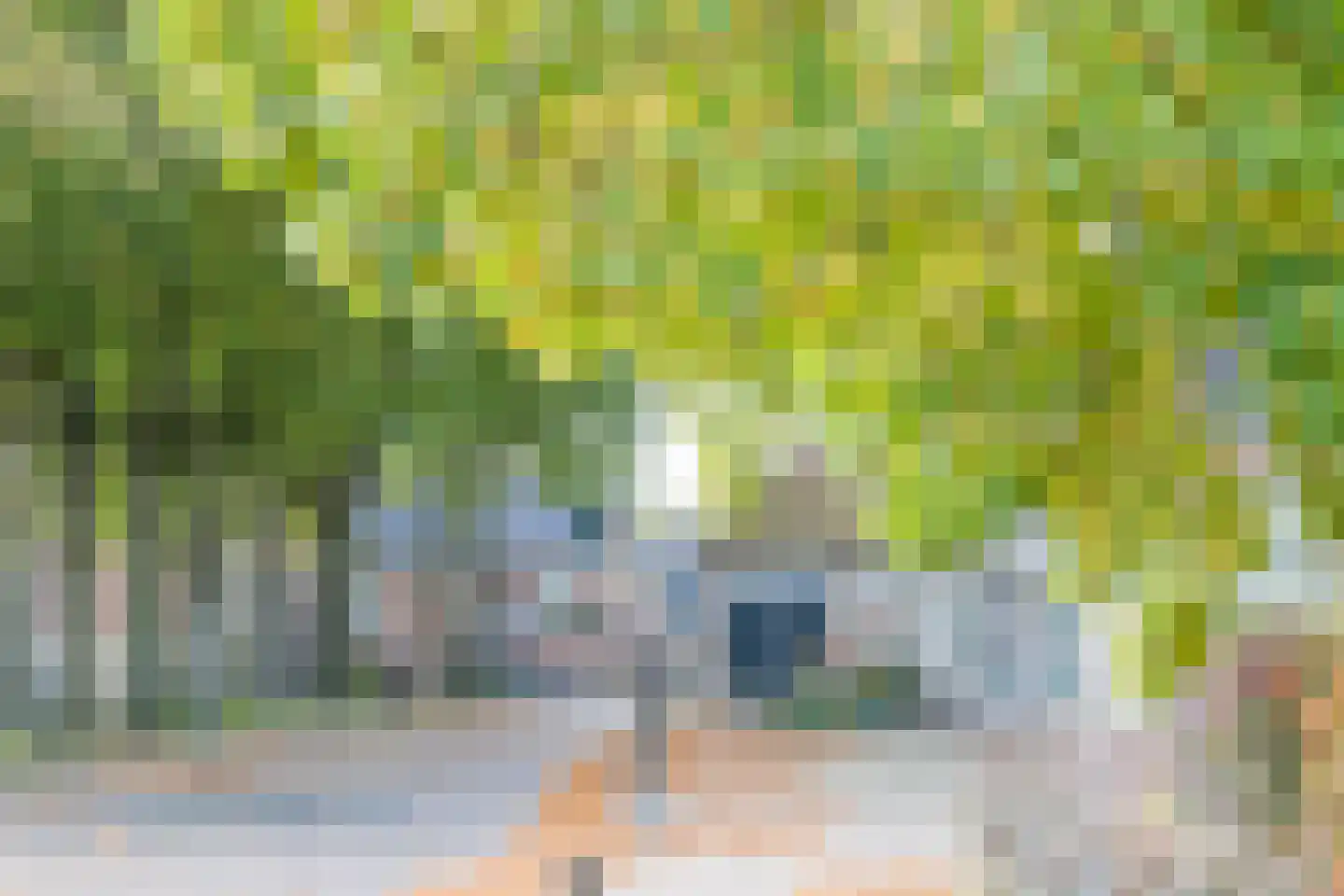 Stellingenweg 4 Oldeberkoop thumbnail 30