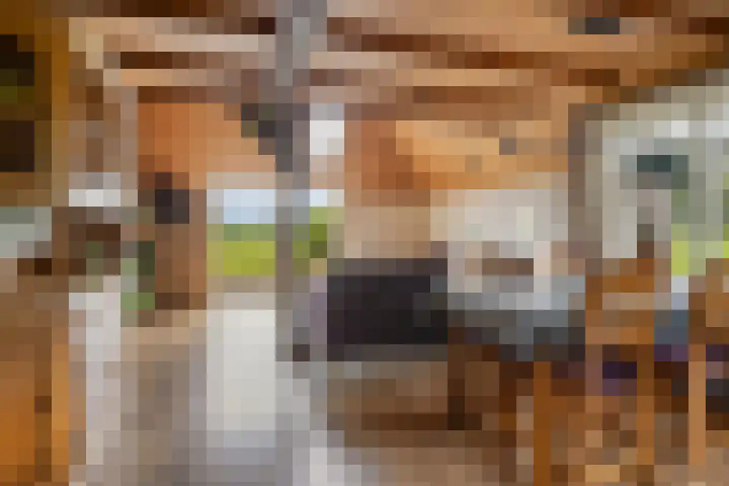 Stellingenweg 4 Oldeberkoop thumbnail 8