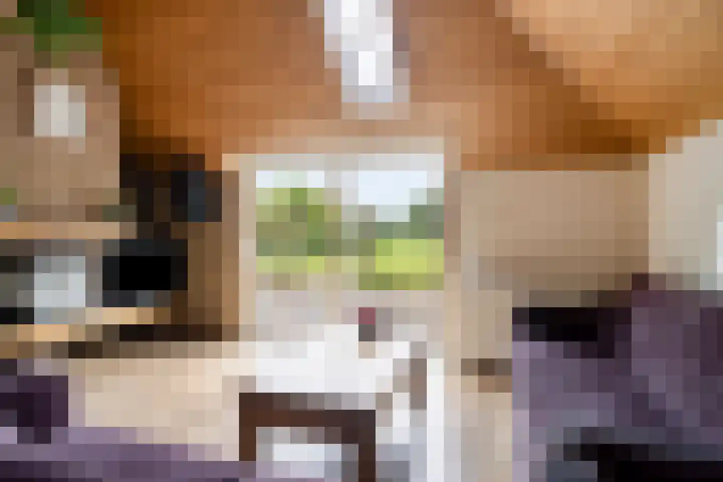 Stellingenweg 4 Oldeberkoop thumbnail 9
