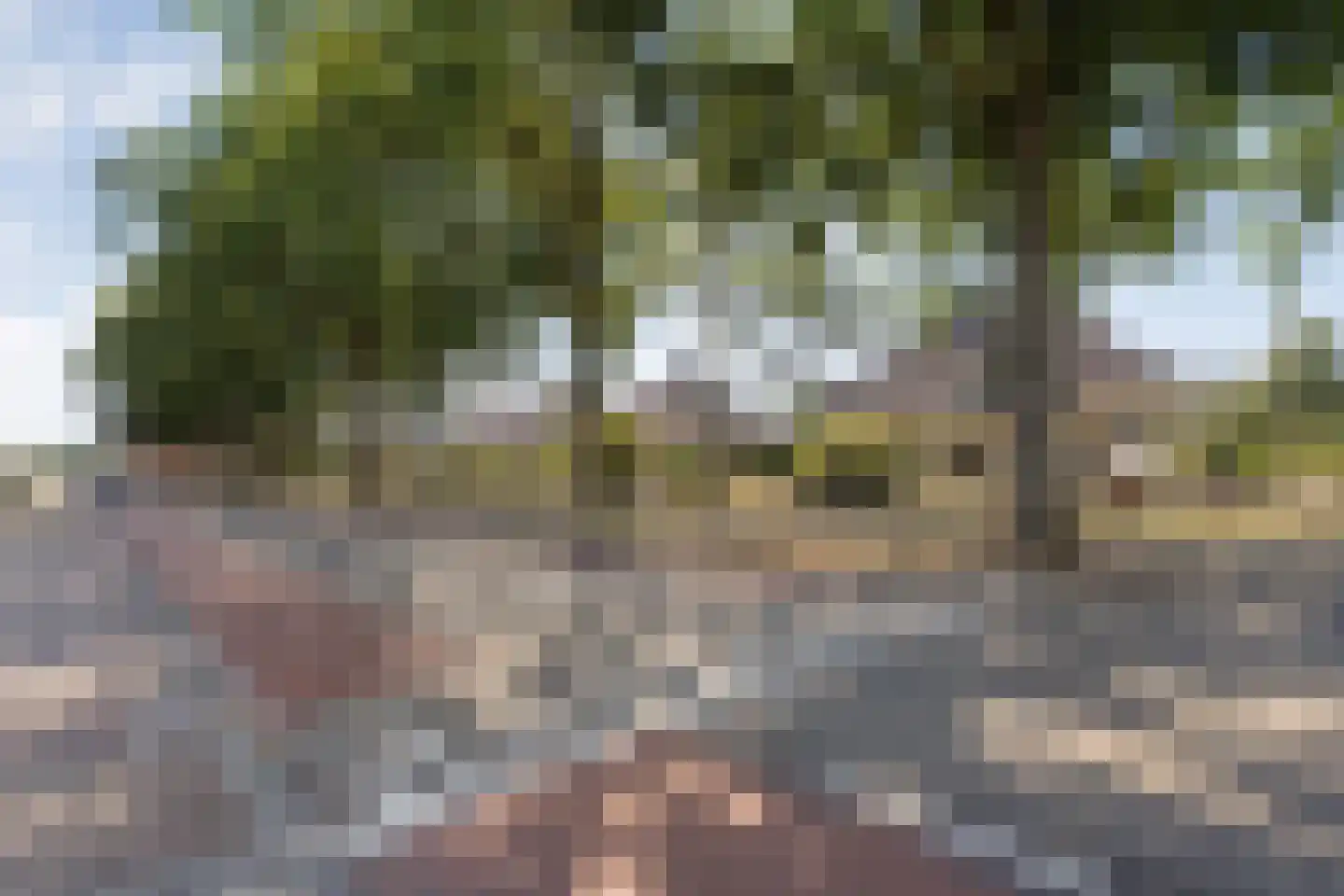 Stellingmolen 1 Heeten thumbnail 12