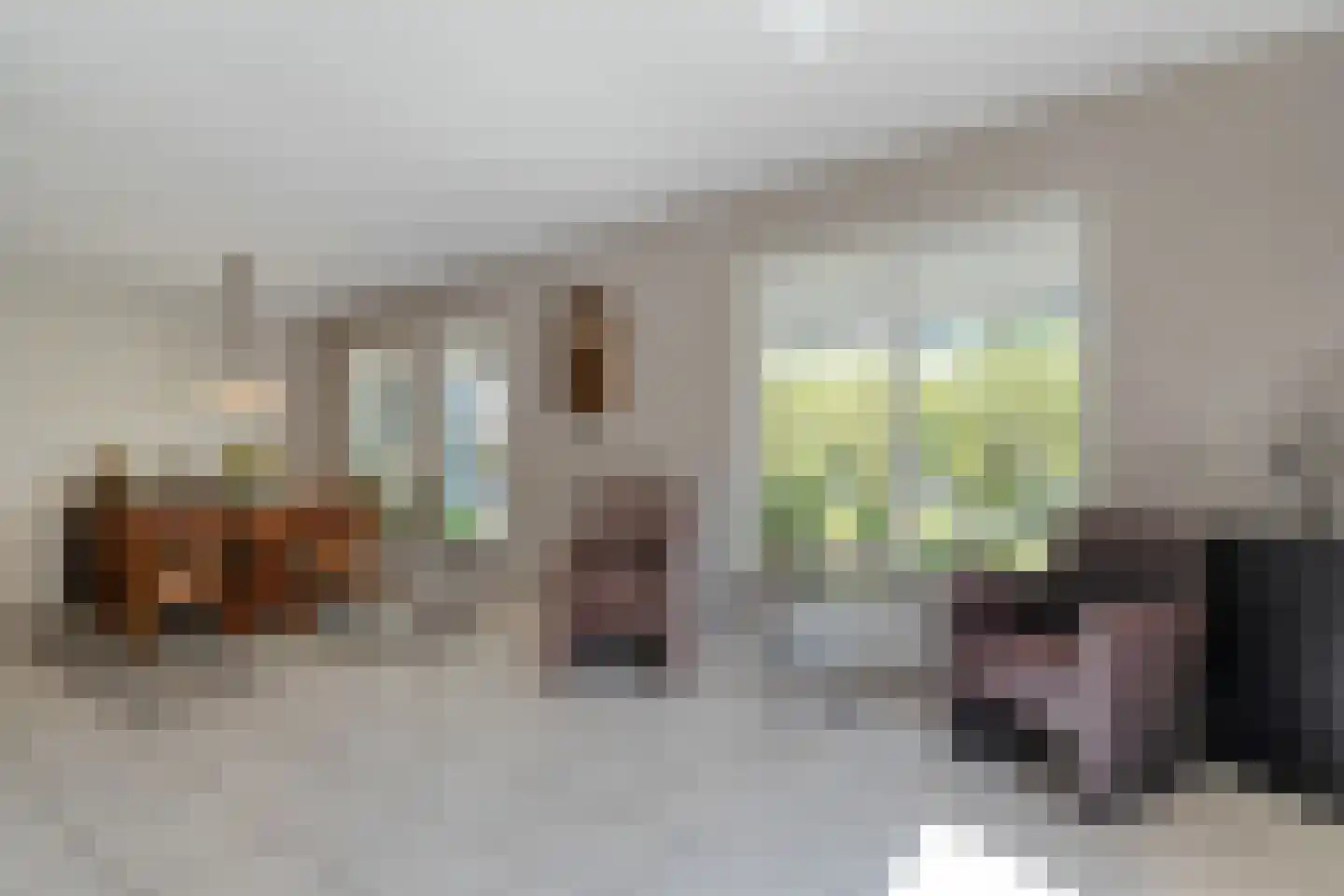 Stellingmolen 1 Heeten thumbnail 19