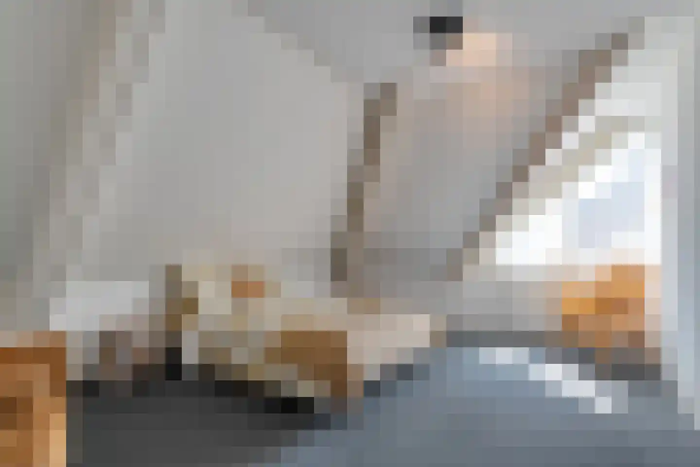 Stellingmolen 1 Heeten thumbnail 37