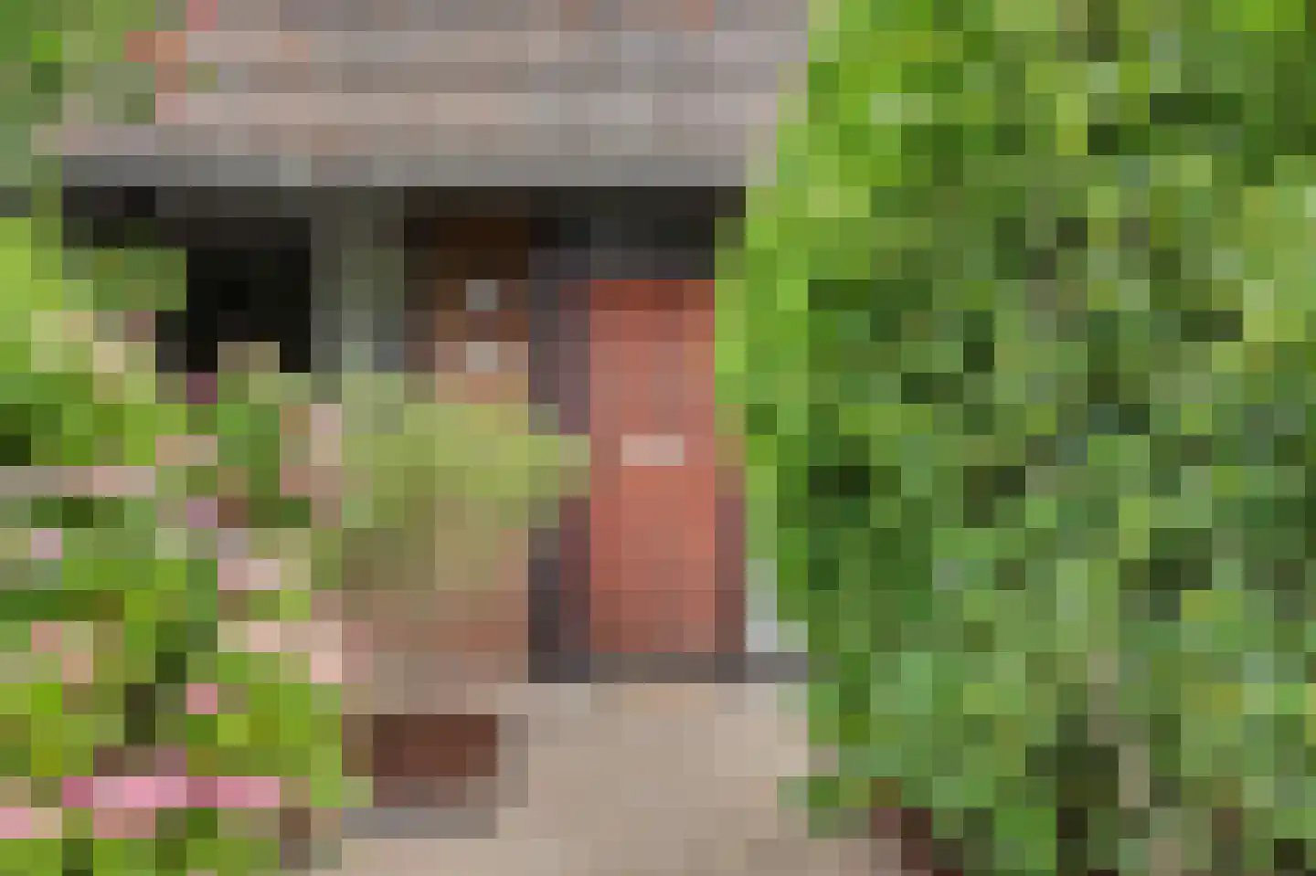 Stellingmolen 11 Papendrecht thumbnail 10