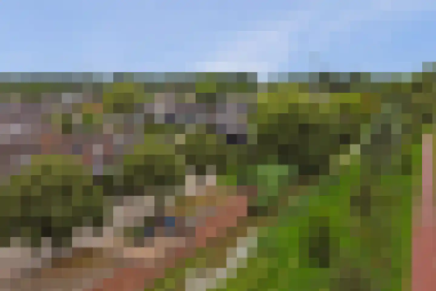 Stellingmolen 11 Papendrecht thumbnail 51