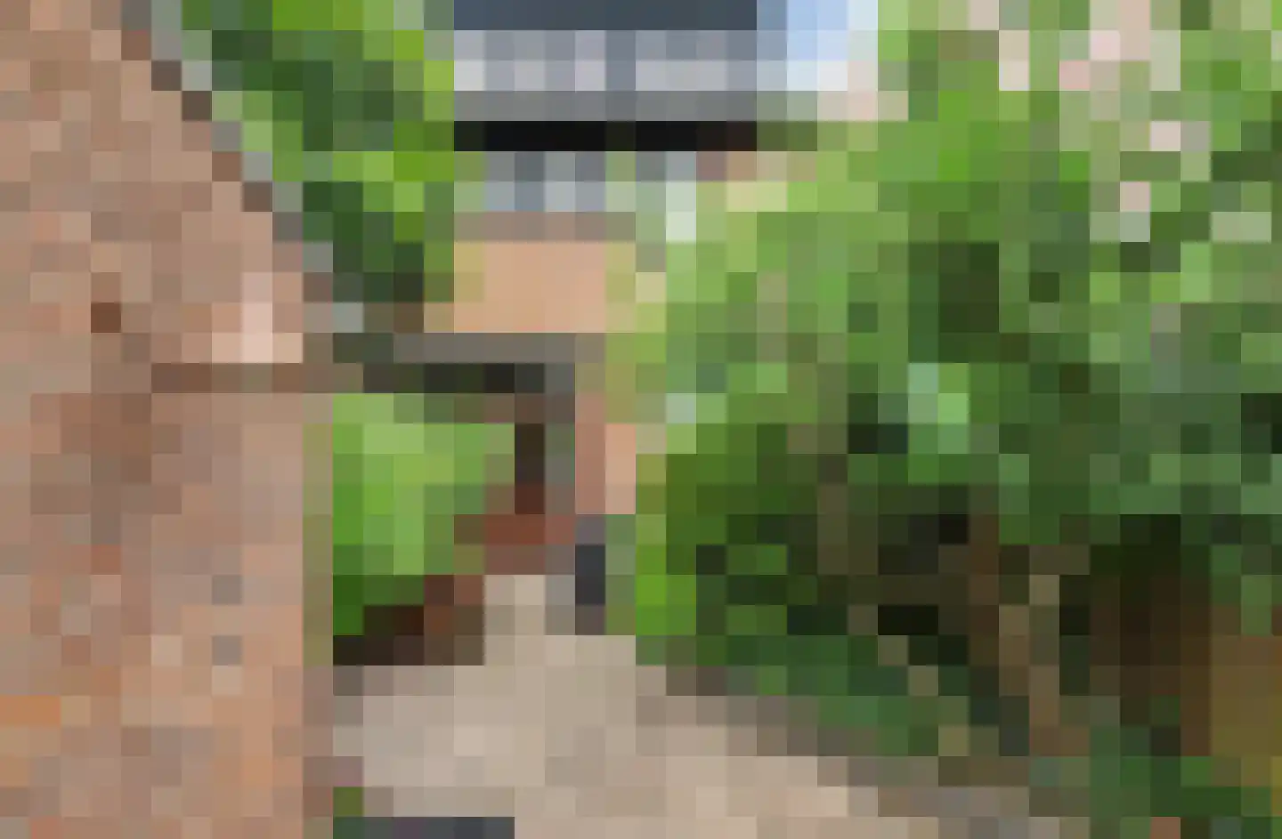 Stellingmolen 11 Papendrecht thumbnail 7
