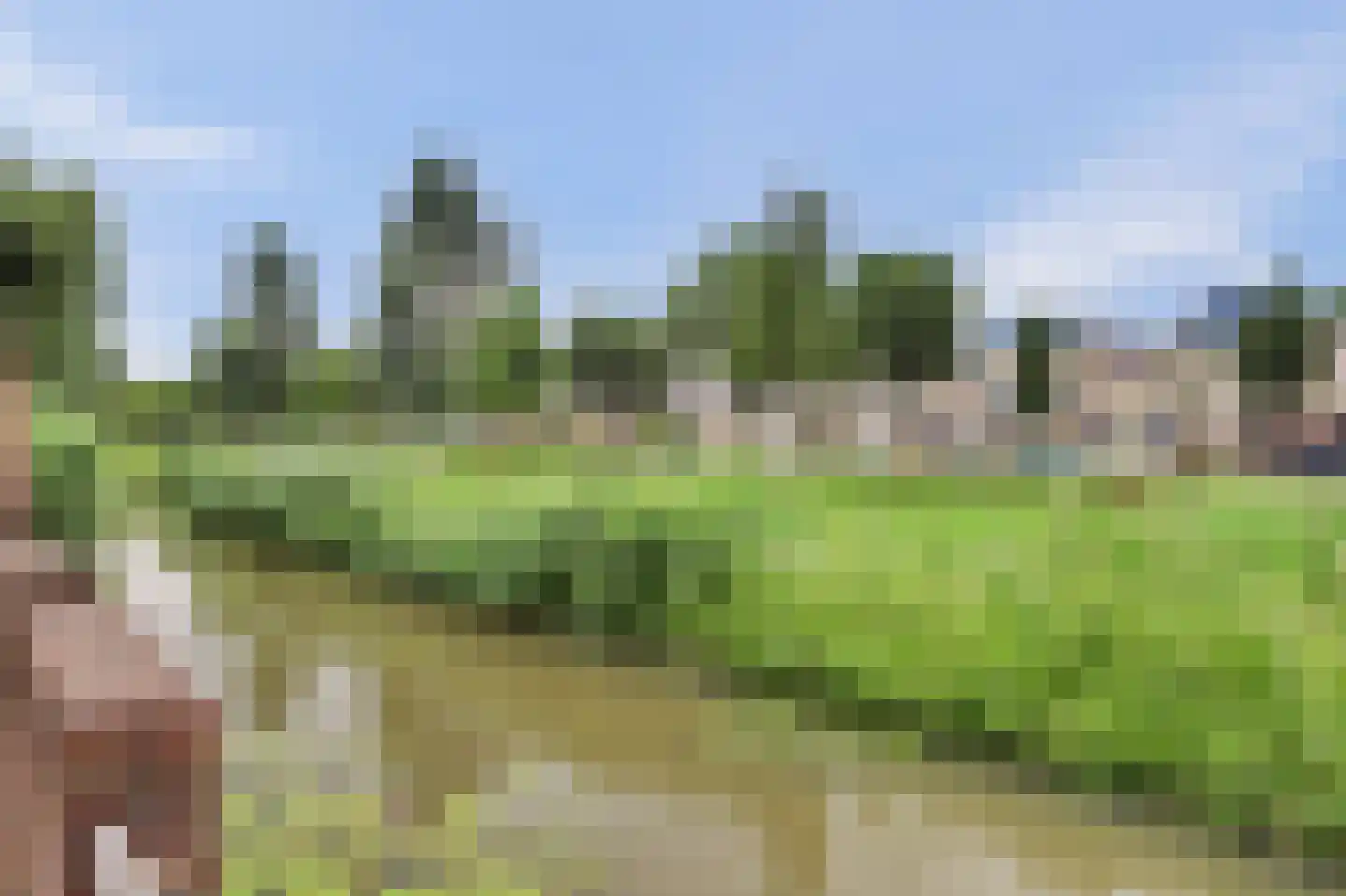 Stellingmolen 11 Papendrecht thumbnail 9