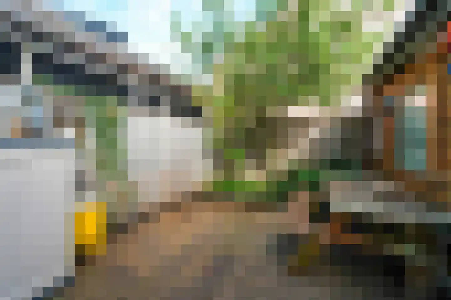 Stellingmolen 120 Papendrecht thumbnail 32