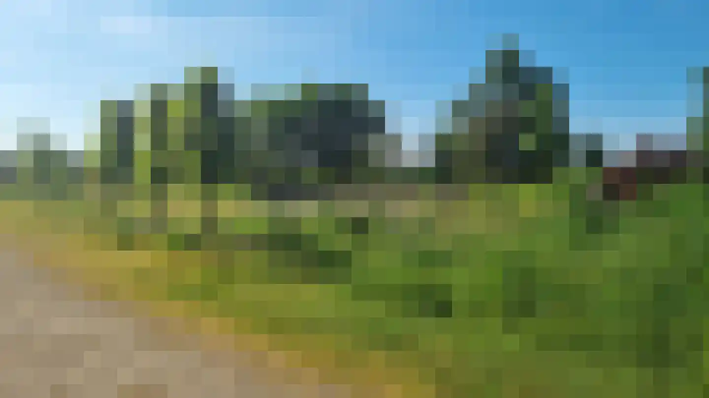 Stellingmolen 14 Geffen thumbnail 9