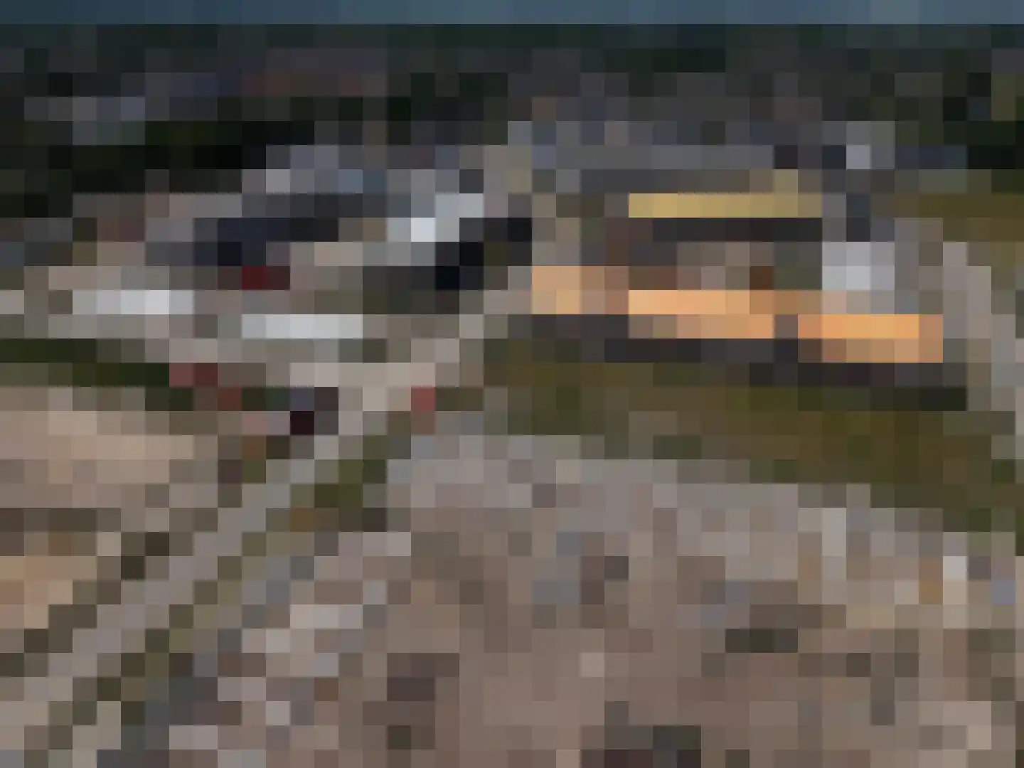 Stellingmolen 14 Geffen thumbnail 9