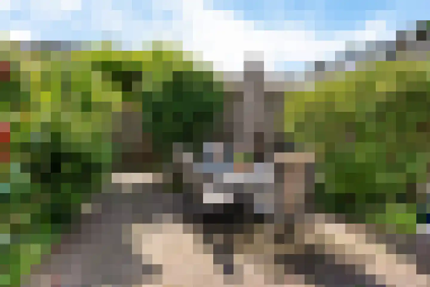 Stellingmolen 18 Alphen aan den Rijn thumbnail 6