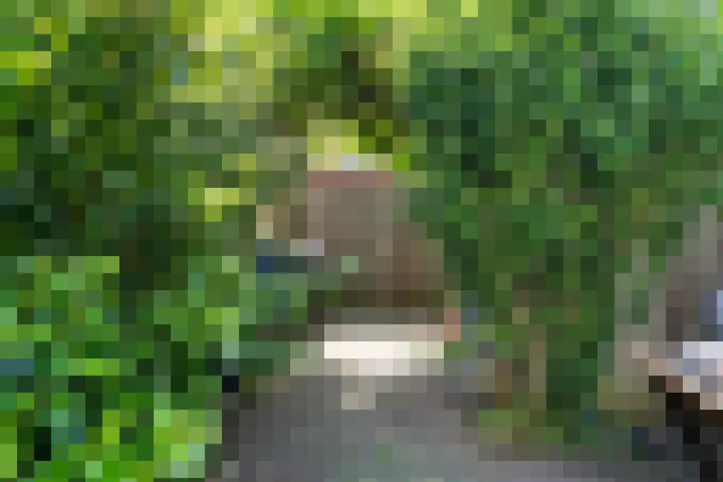 Stellingmolen 18 Alphen aan den Rijn thumbnail 7