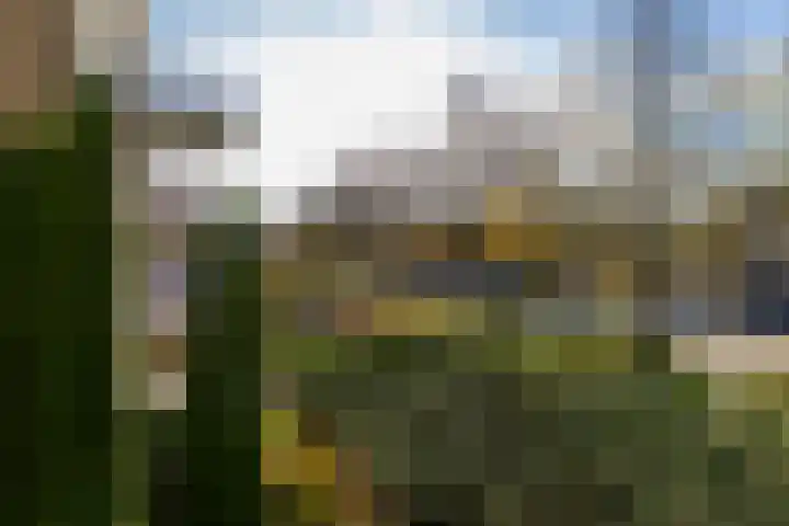 Stellingmolen 19 Barendrecht thumbnail 32