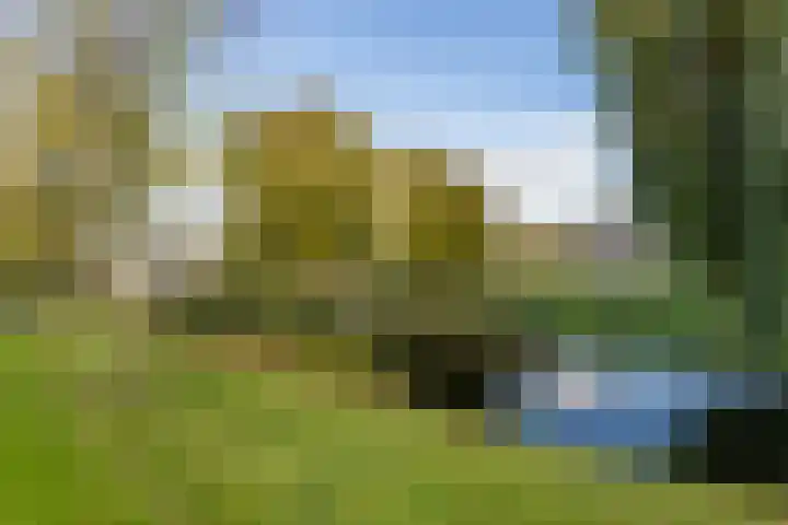 Stellingmolen 19 Barendrecht thumbnail 35