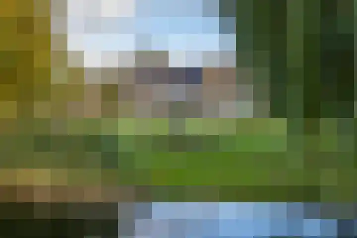 Stellingmolen 19 Barendrecht thumbnail 36