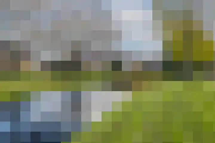 Stellingmolen 19 Barendrecht thumbnail 37