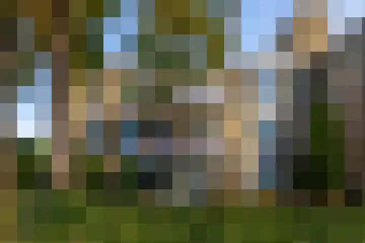 Stellingmolen 19 Barendrecht thumbnail 7