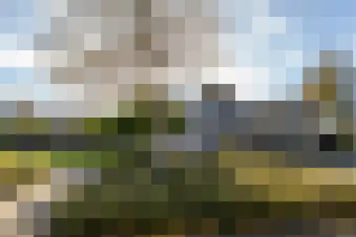 Stellingmolen 19 Barendrecht thumbnail 8