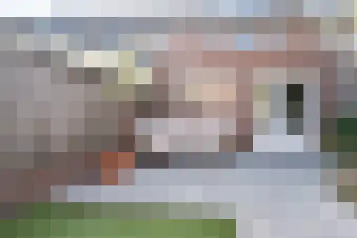 Stellingmolen 19 Weert thumbnail 37