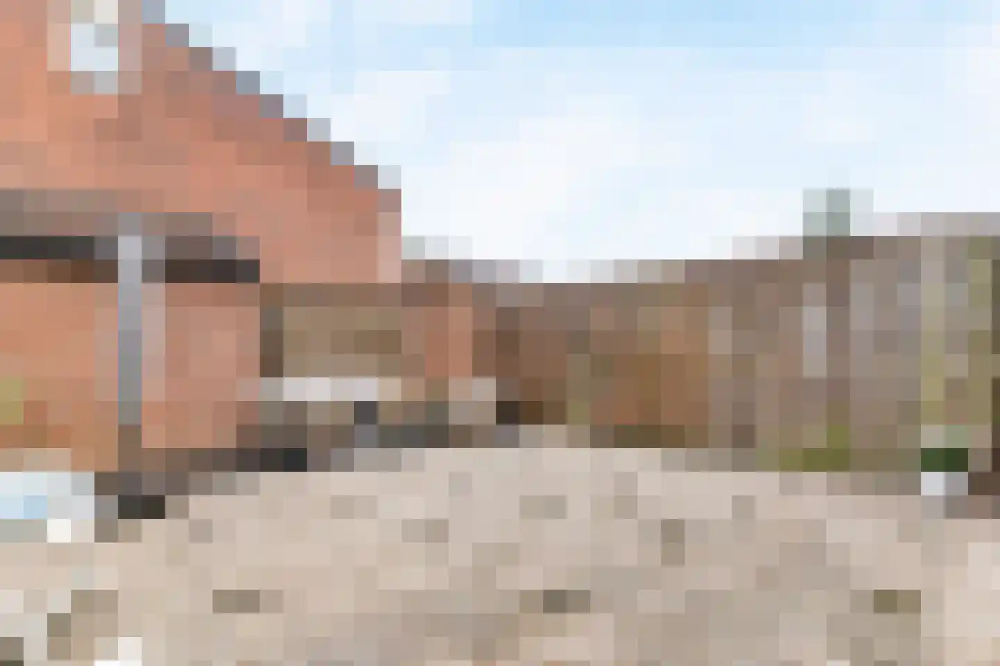 Stellingmolen 192 Papendrecht thumbnail 20