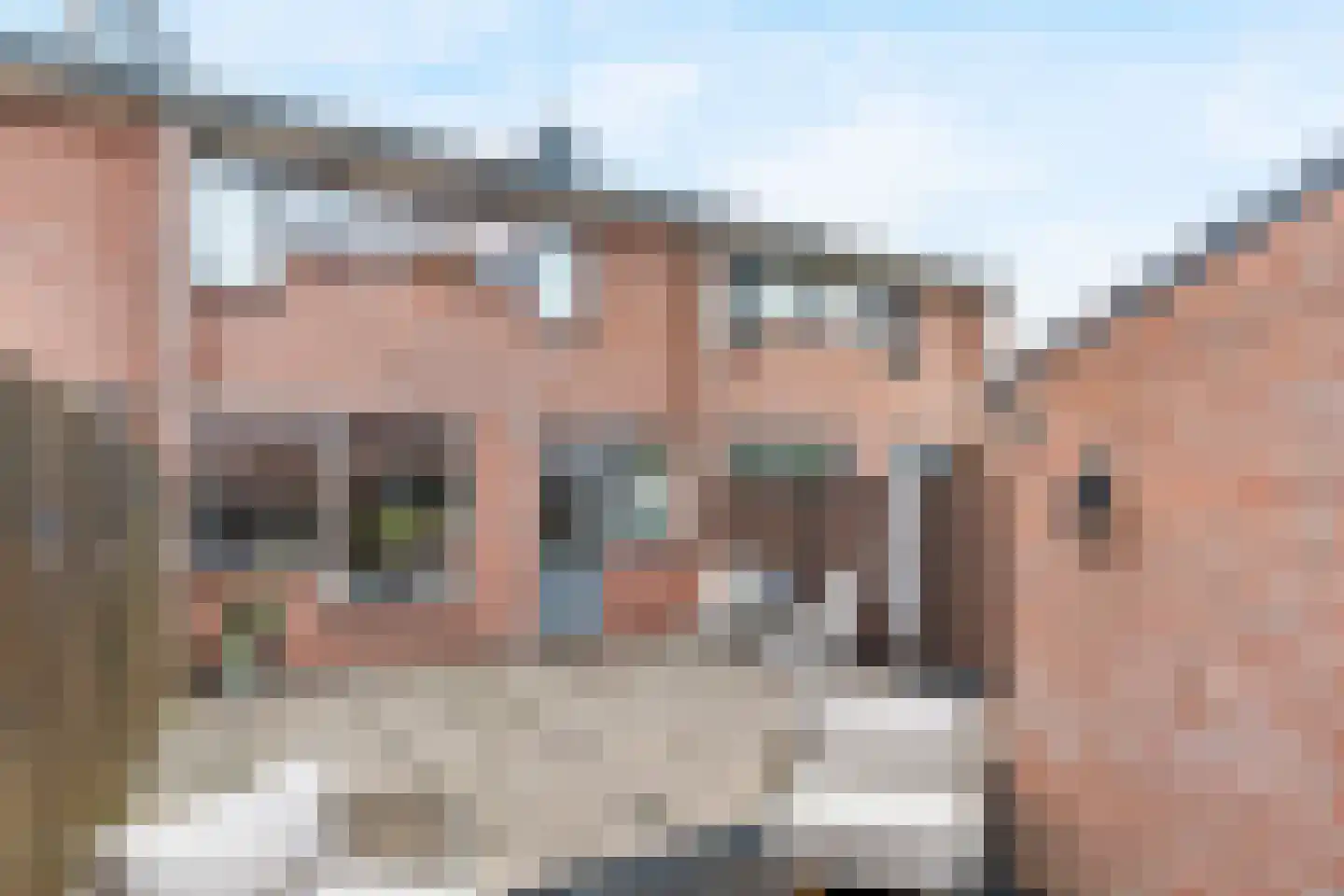 Stellingmolen 192 Papendrecht thumbnail 23