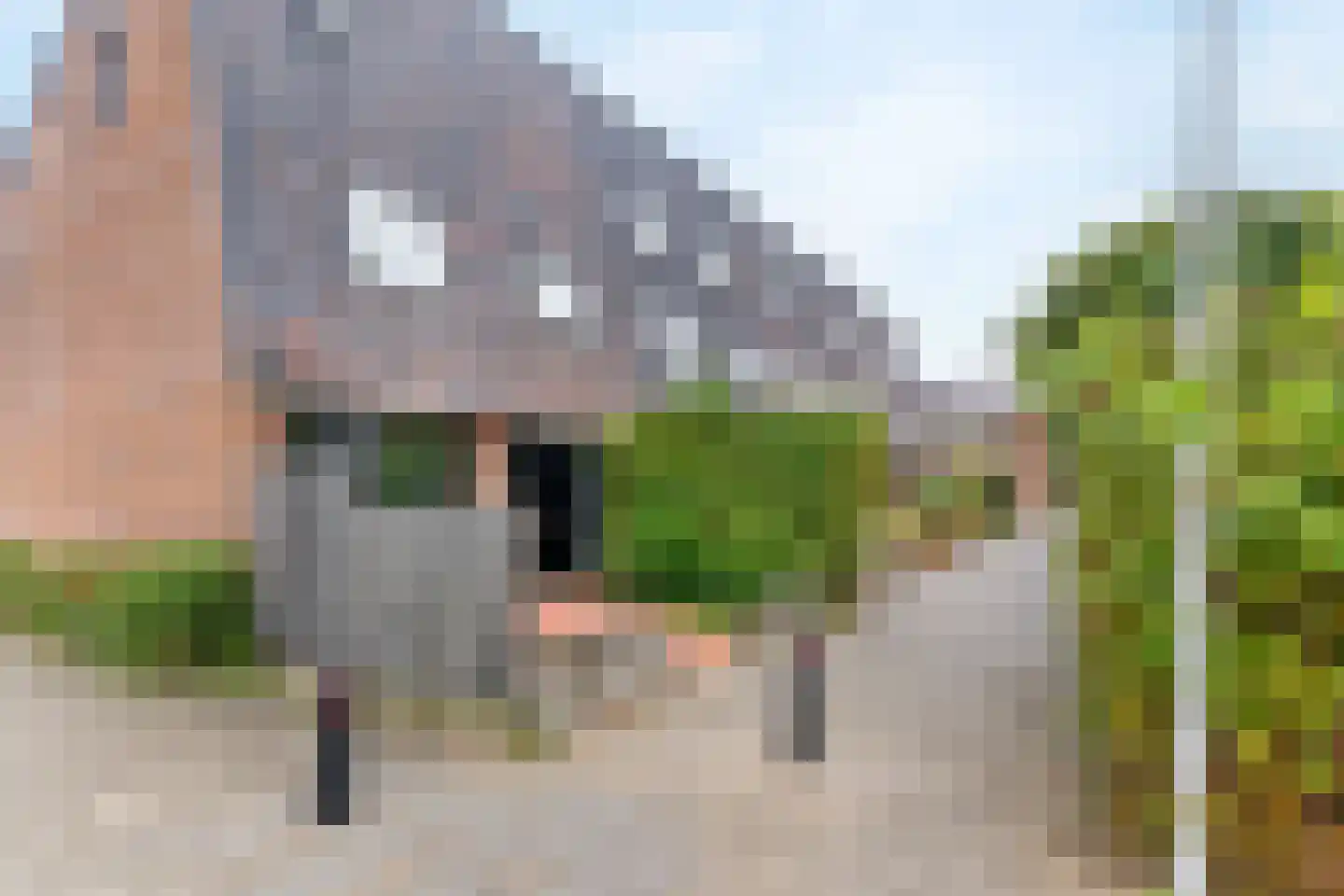 Stellingmolen 192 Papendrecht thumbnail 41