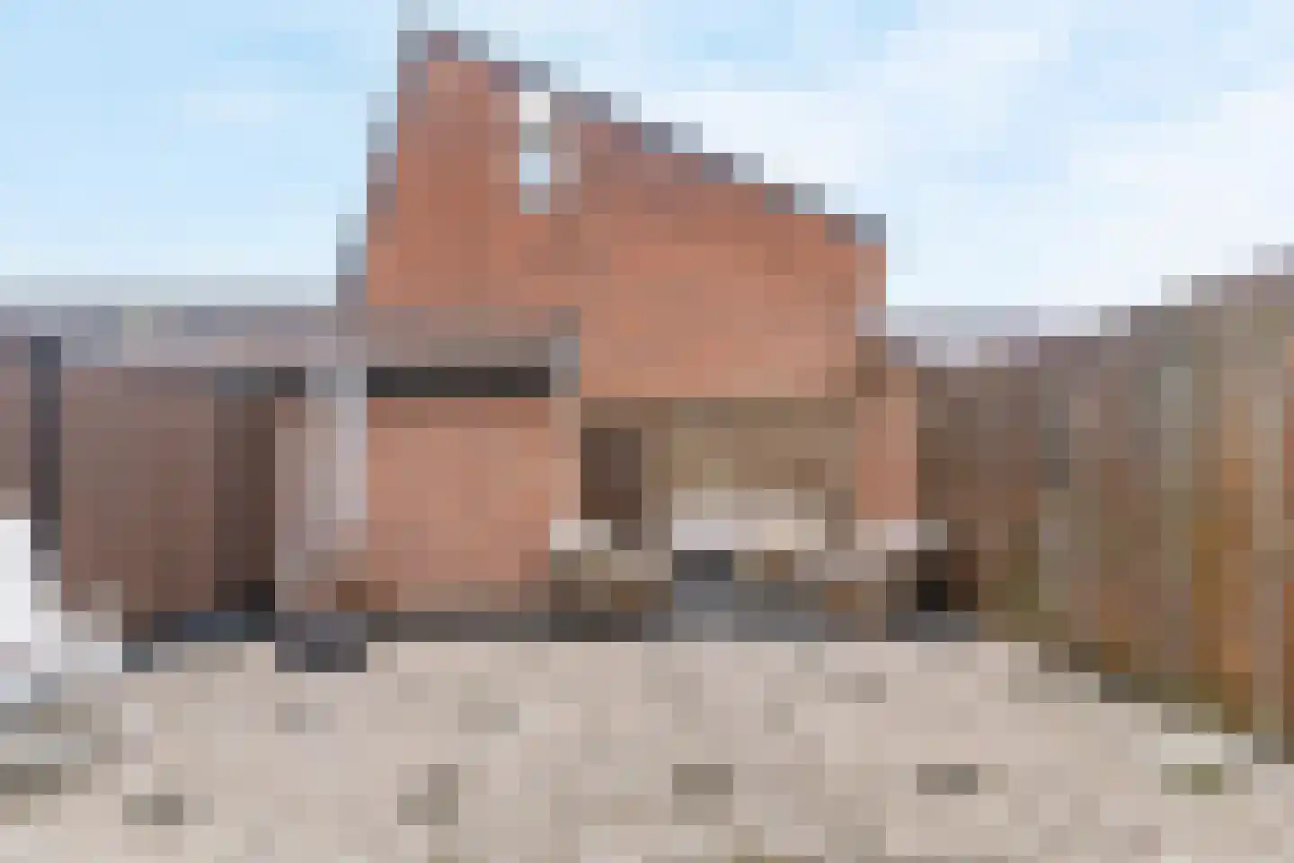 Stellingmolen 192 Papendrecht thumbnail 5