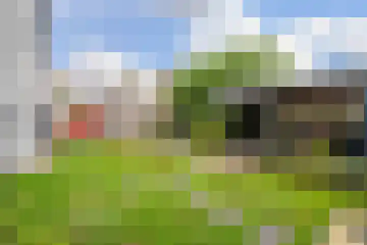 Stellingmolen 20 Weert thumbnail 47