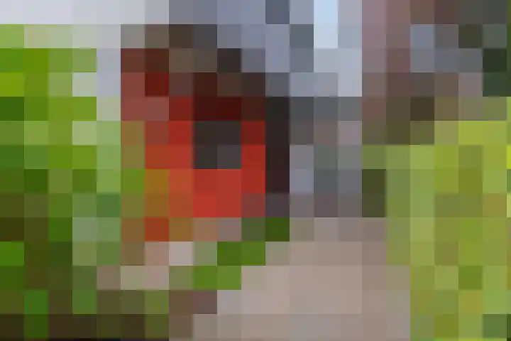 Stellingmolen 20 Weert thumbnail 9