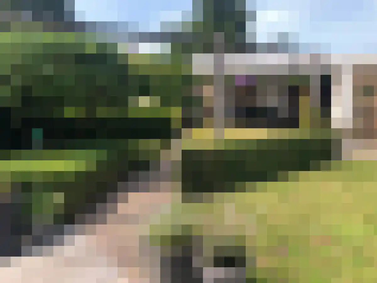 Stellingmolen 22 Herten thumbnail 34