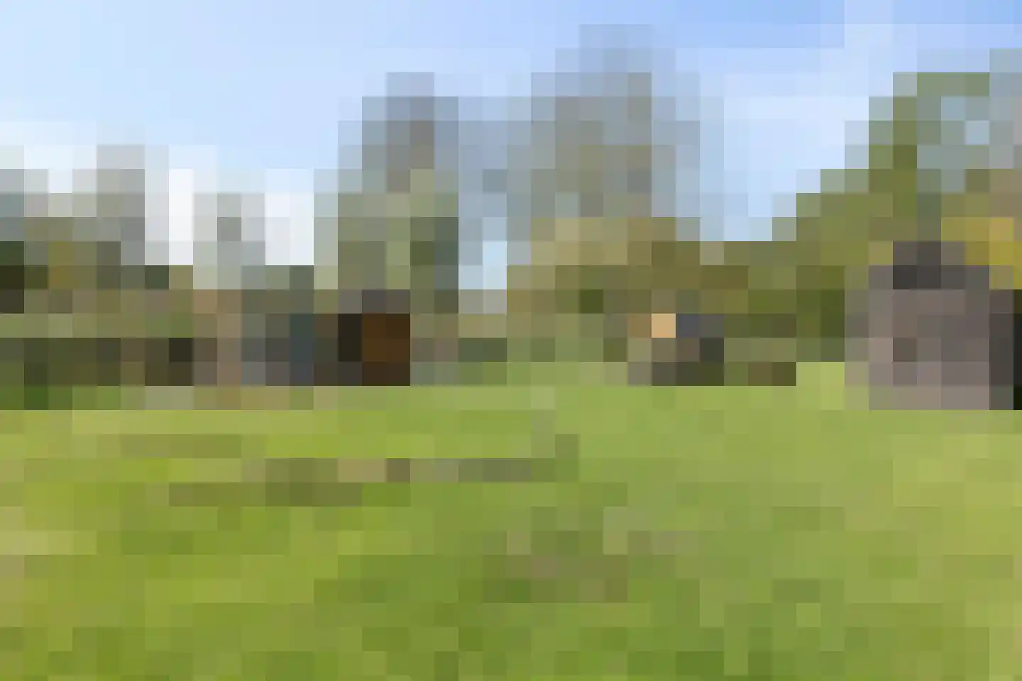 Stellingmolen 22 Purmerend thumbnail 44