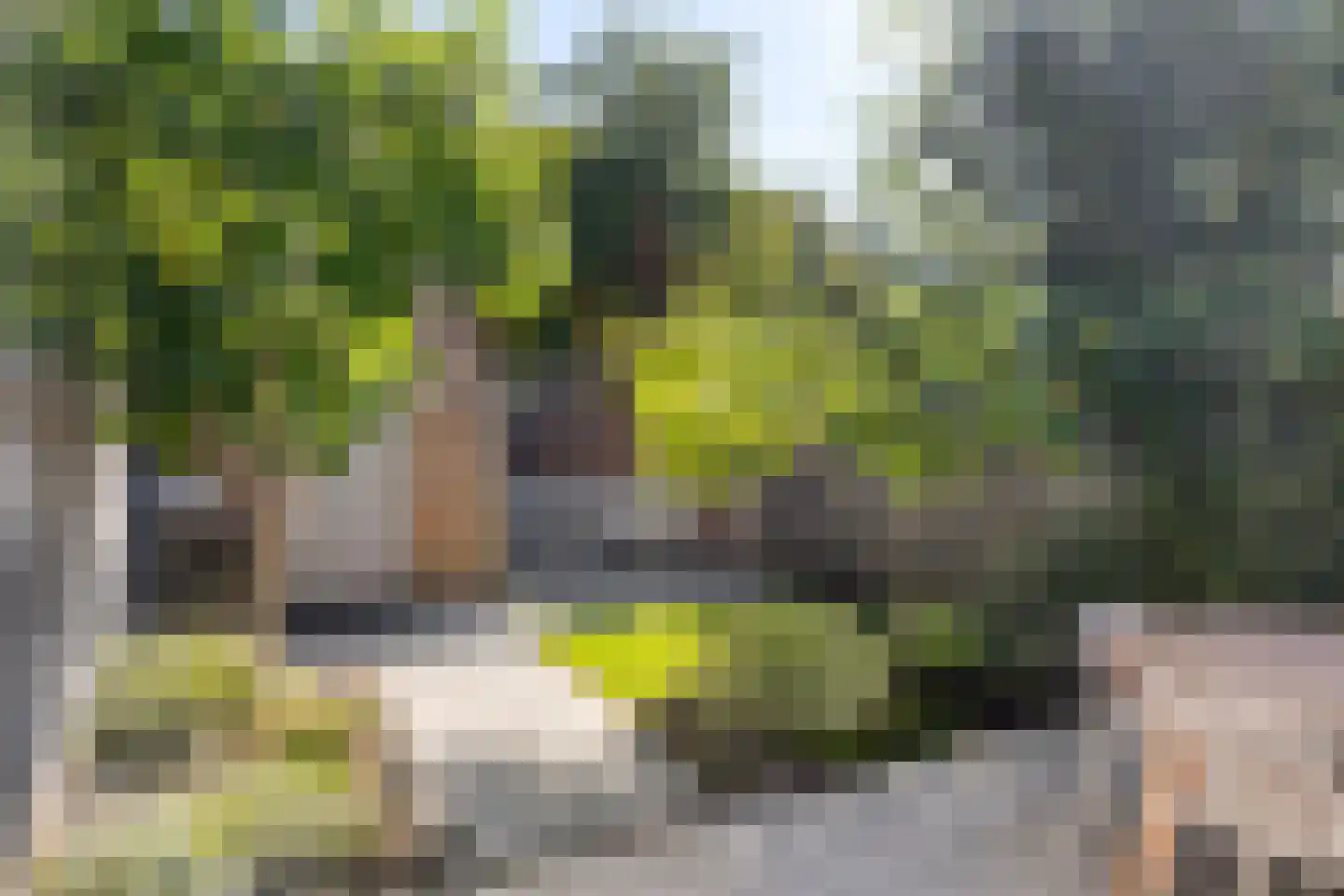 Stellingmolen 22 Purmerend thumbnail 6